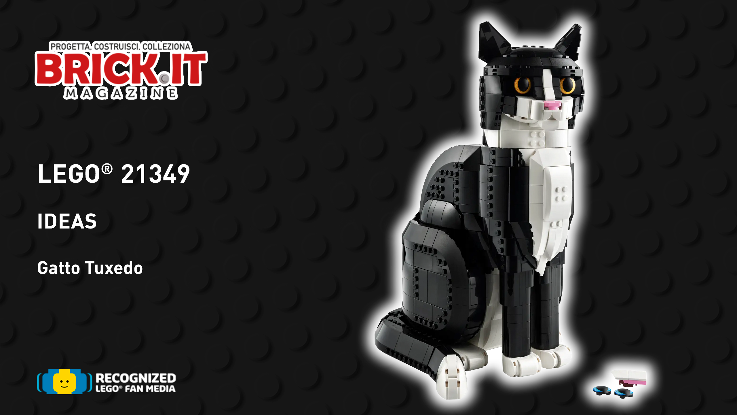 LEGO® Ideas 21349 – Tuxedo Cat – Recensione