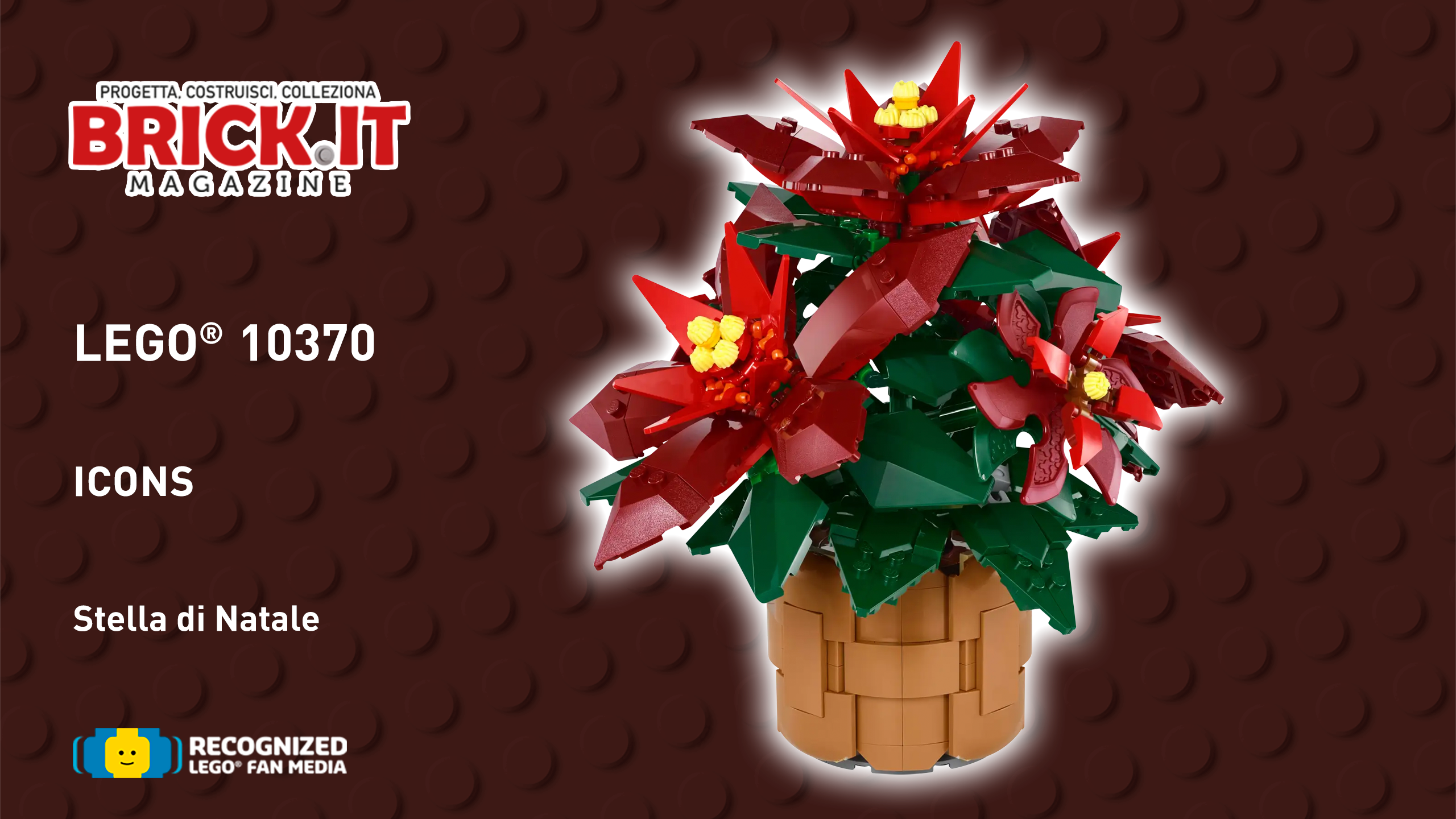 LEGO® Icons 10370 – Poinsettia – Recensione