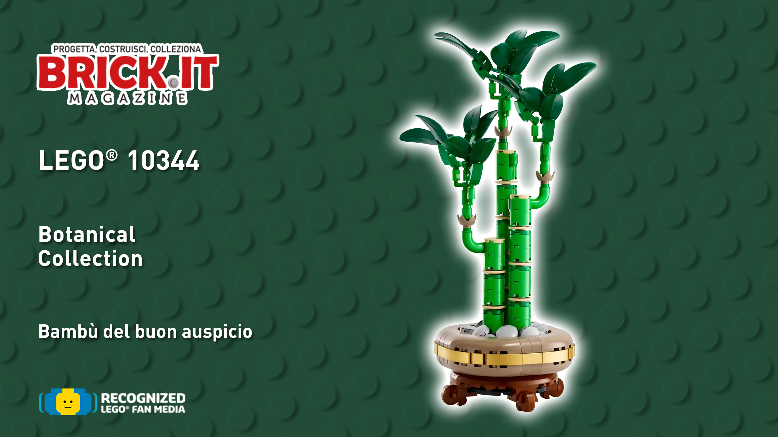 LEGO® 10344 – Botanical Collection – Lucky Bamboo – Recensione