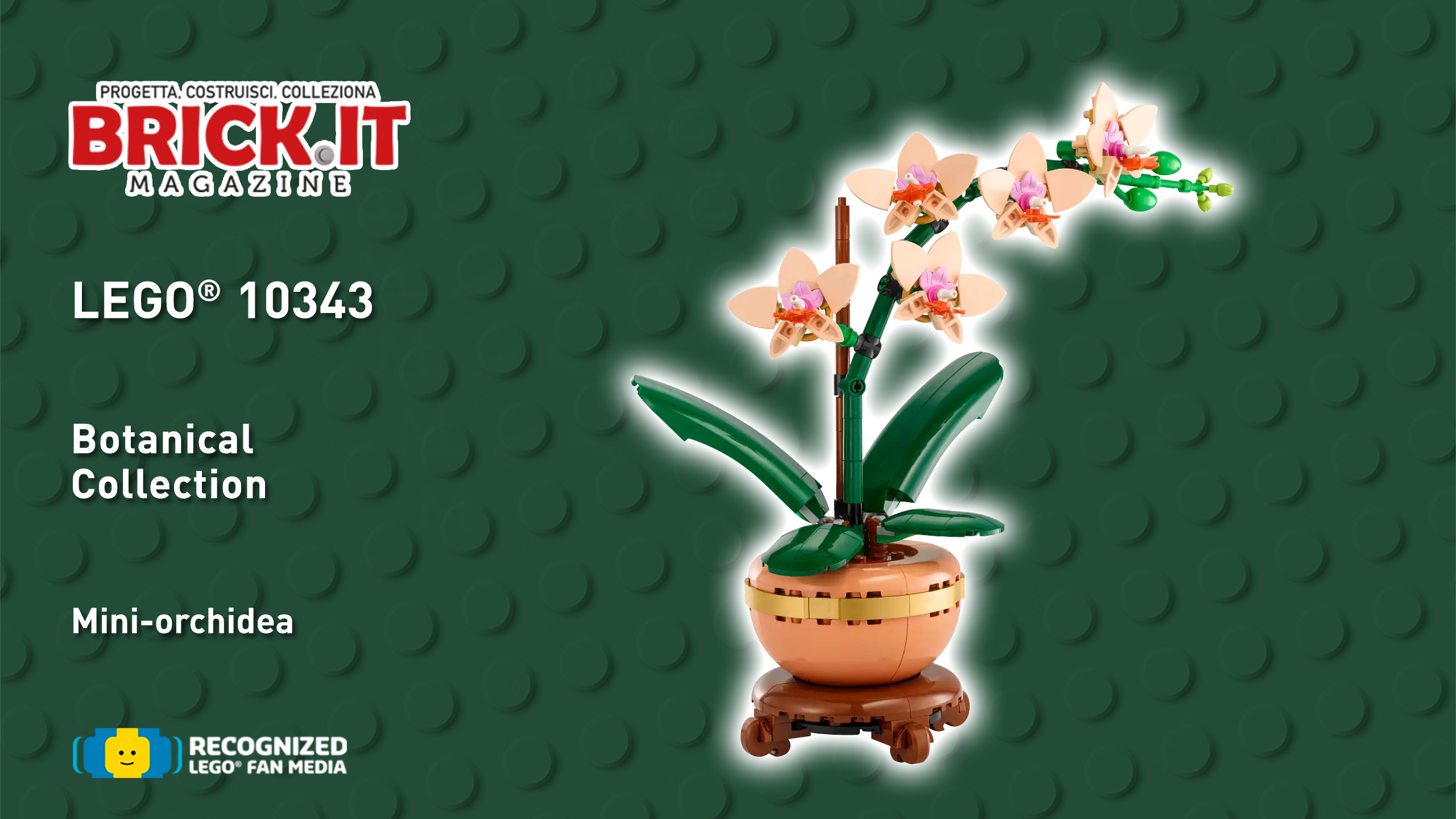 LEGO® 10343 – Botanical Collection – Mini Orchid – Recensione